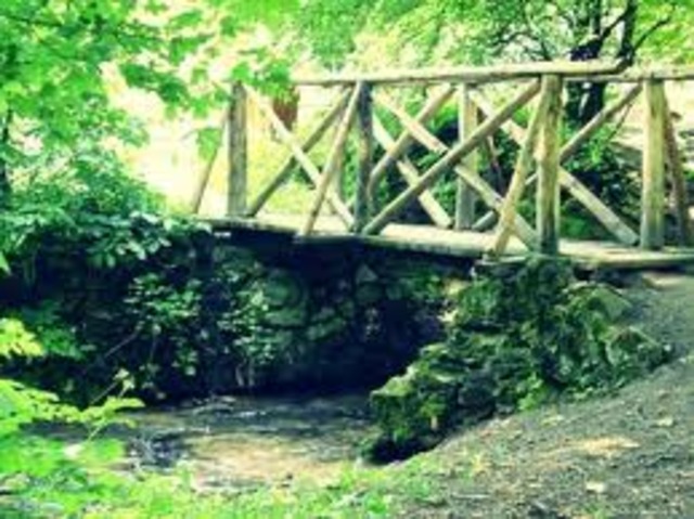 LOS PRIMEROS PUENTES