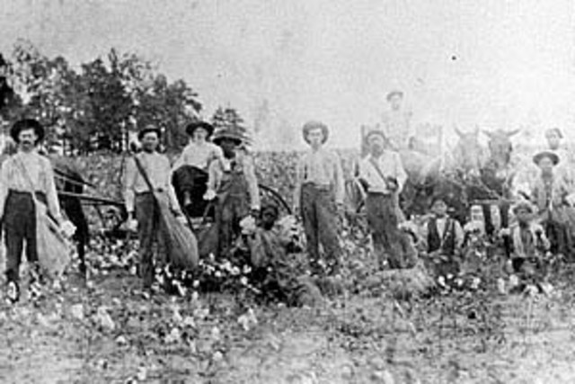 A "New South" arises