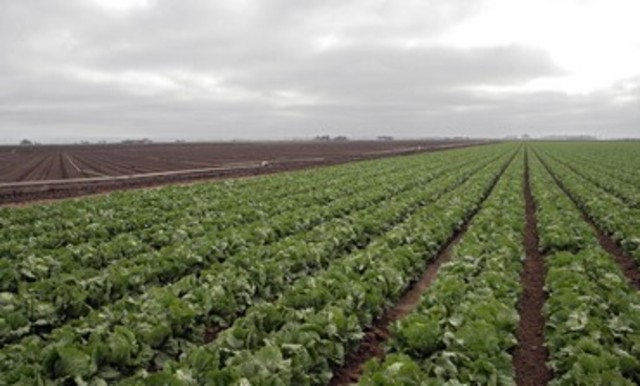 Arabs Boycott Israeli Products