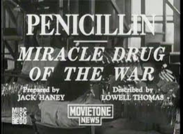 Mass-Produce Penicillin
