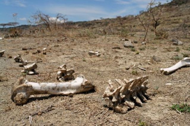Drought Cause Violence in Afghanistan
