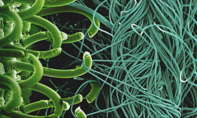 George get his idea.