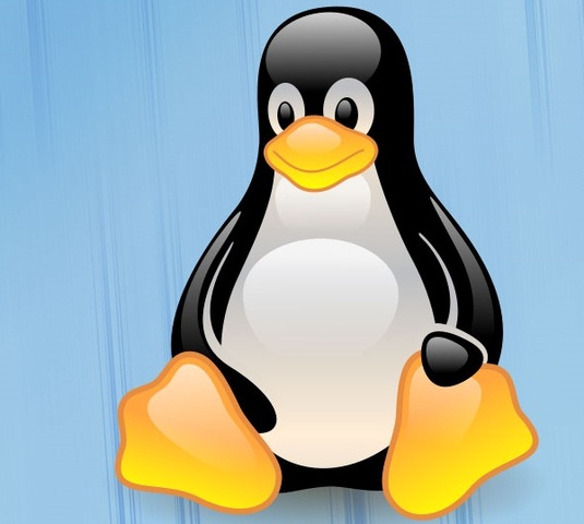 Learned about linux