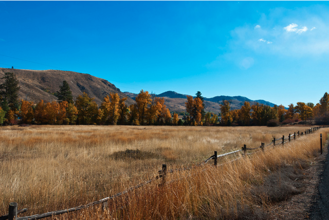 Enclosures of farming land accelerate in Britain