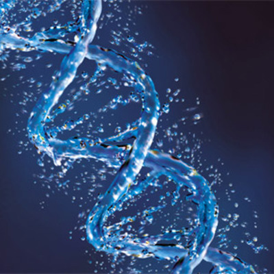 Timeline: Principales descucbrimientos del ADN