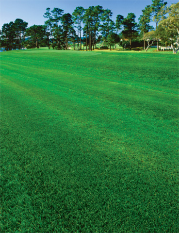 Science and Technology; Astro Turf