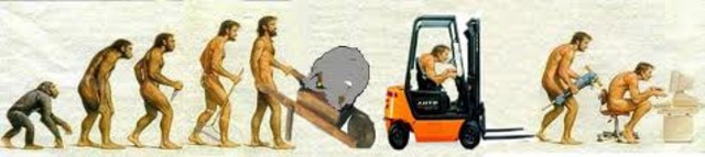 FORMA DE ORGANIZACION DE LA ADMINISTRACION