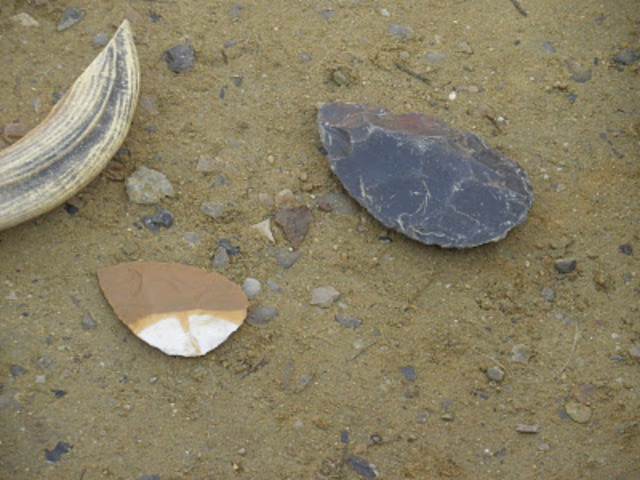 Fichas Unidades economicas