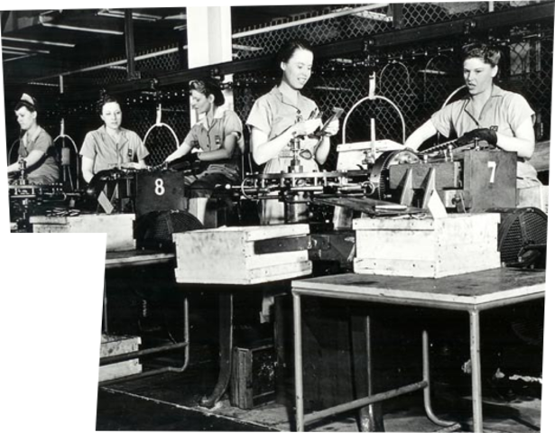 Women and Minorities in the Workforce