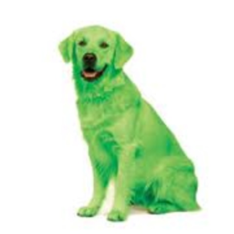 Scared of Big Green dogs at night