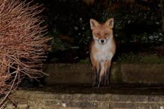 Scared of sudden movments at night