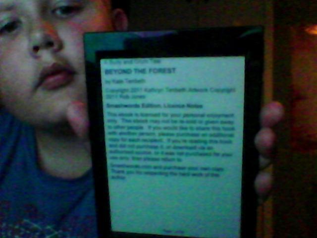 Burly and Grum : Beyond the forest (is where I read this book)