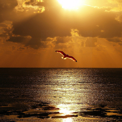 Timeline: Historia de la literatura