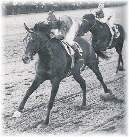 Eddie Arcano wins Triple Crown