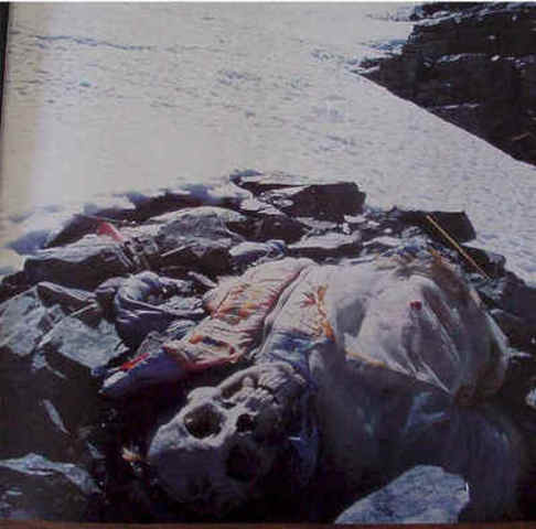 12 and 13, Eight are found dead