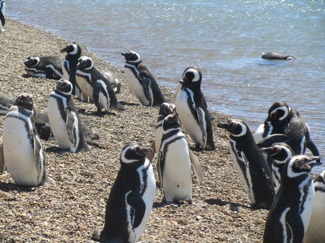 Attractions in Argentina