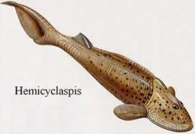 estos pesen poesen  como  mini brasos  para salir del agua