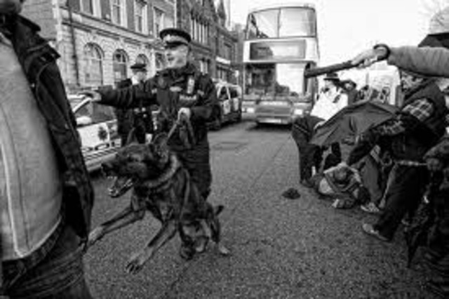 Fifty arrests for peace