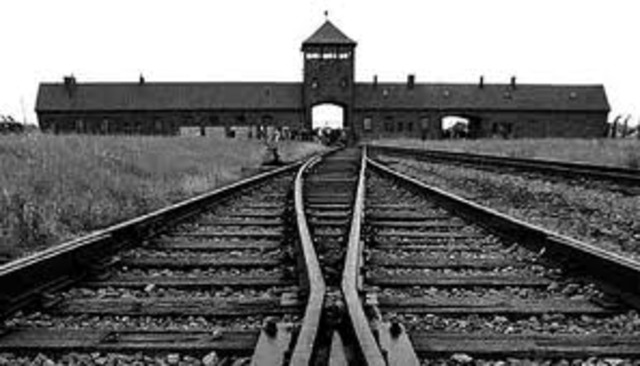 Auschwitz Liberated