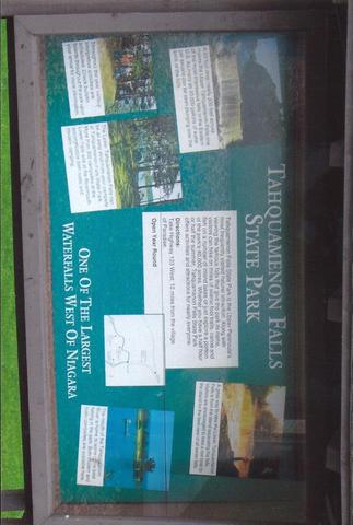 My first time at Tahquamenon Falls State Park.