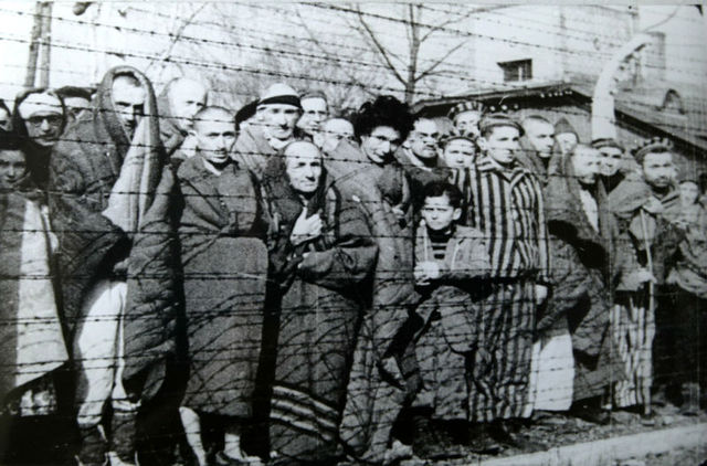 Liberation of Auschwitz