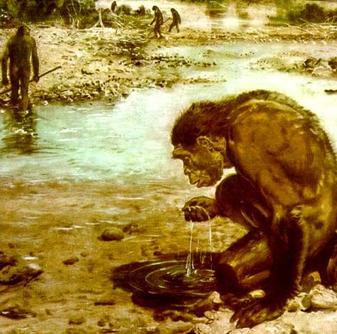 Homo habilis 2,2 millones a 1,6 millones de años
