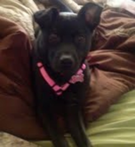 I find my zen in life