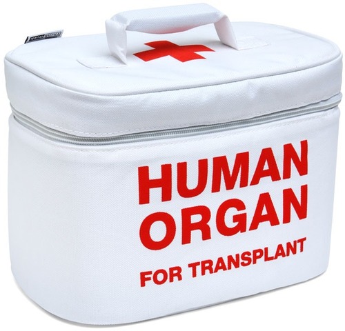 First organ transplant (kidney)