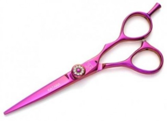 started beuty school