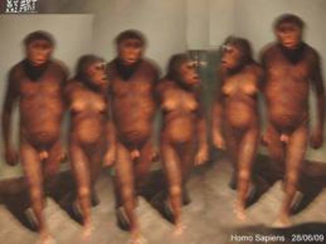 Los primeros homínidos y el largo camino hacia el hombre