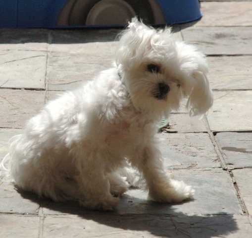 Late Adulthood: Psychosocial