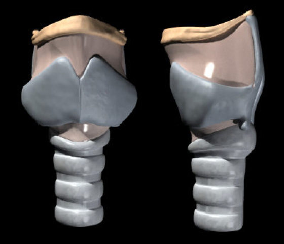 Doug Hansen has a frozen larnyx.