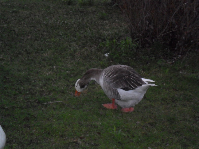 first time i went to ireland