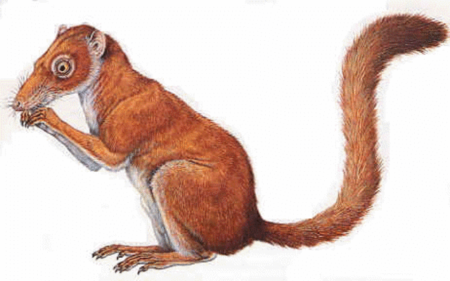 Permian Period PICTURE