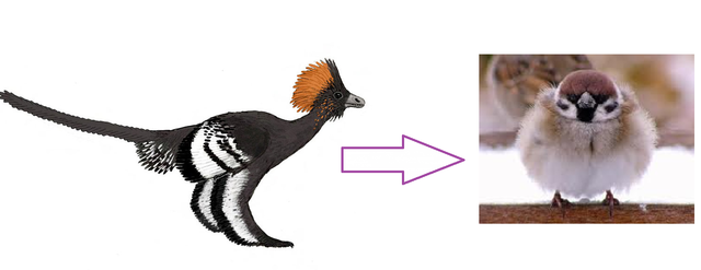 Jurassic Period PICTURE