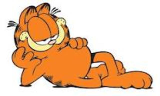 Garfield celebrates its 25th anniversary