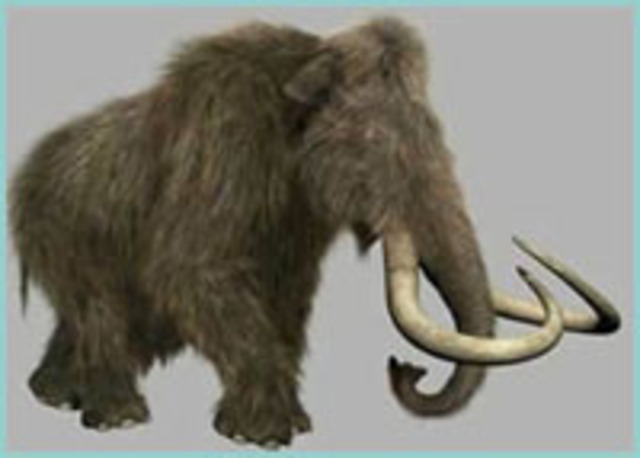 Aparición de los mamíferos secundarios