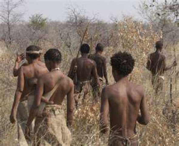 Foragers in Central Africa