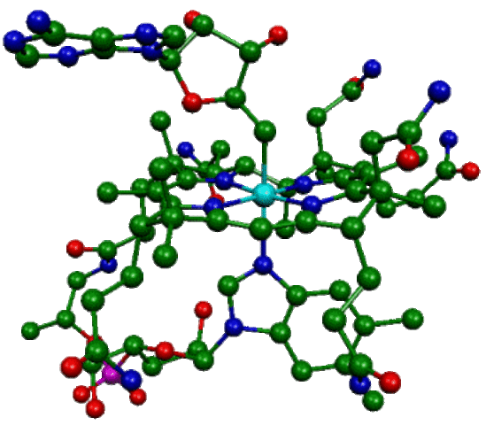 La structure des molécules biologiques