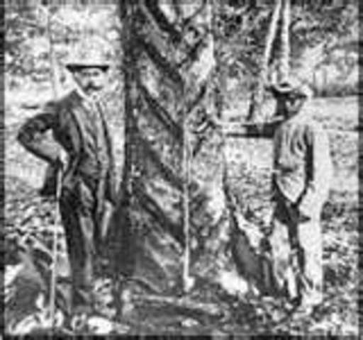 Rubber Boom in Central Africa