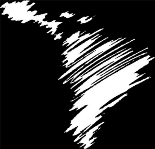 RECONCEPTUALIZACION EN LATINOAMERICA