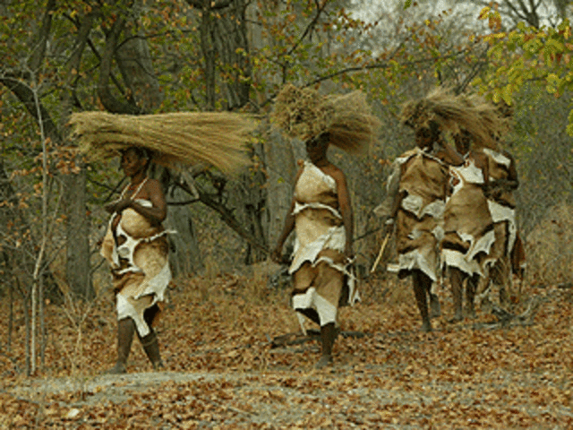 Economy (West Africa)