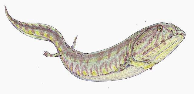 First vertebrates appear