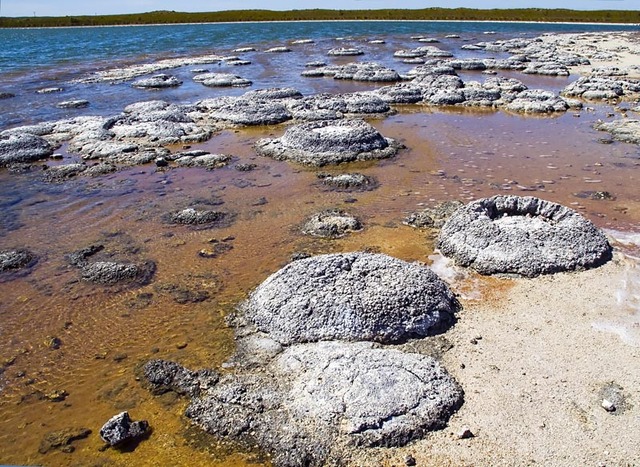 3.4 BYA -  STROMATOLITES
