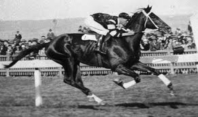 Phar Lap wins the Melbourne Cup