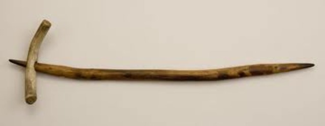 Southern African Agriculture