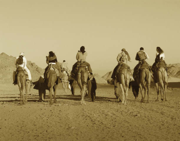 Middle East: Environment: Interactions beween humans and environment