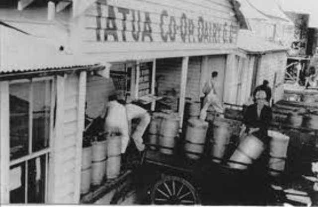 INICIO  DEL  MERCADEO