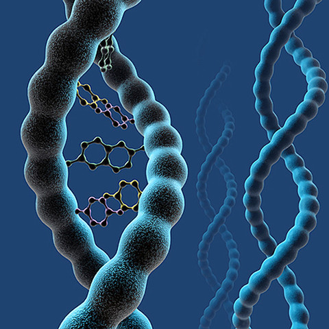 James D. Watson and Francis Crick discover the helical structure of DNA