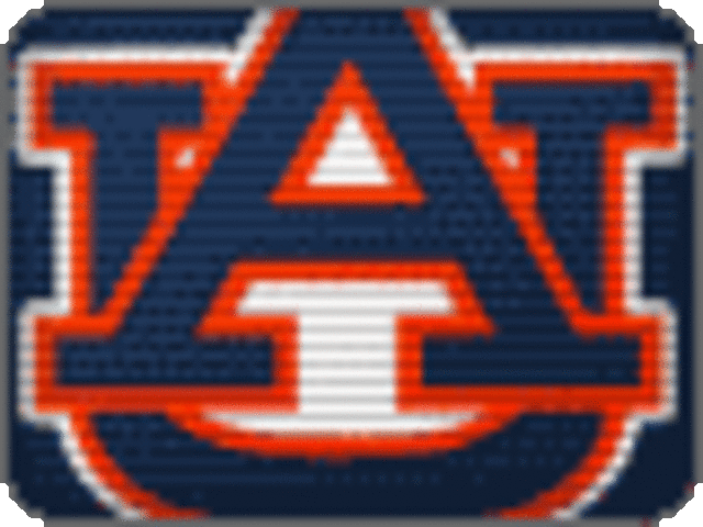 Received my associates degree